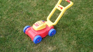 Nathan's Priceless Lawnmower
